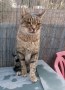 Suby (4)